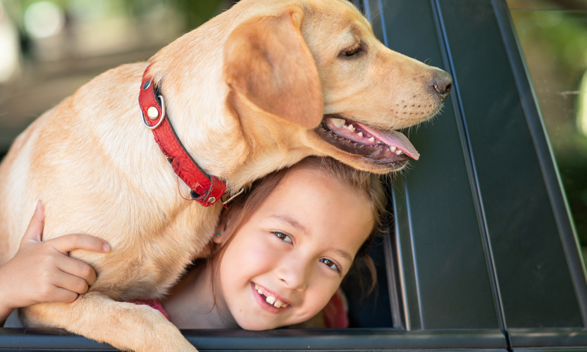 Read more about the article 6+1 Ράτσες σκύλων για παιδιά!